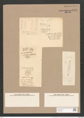 Libellus aponinus (Kütz.) De-Toni. (de-Toni-Nr.: Genus 5, Species 862) Zeichnungen Sammlung Grunow Nr. 1712 (NHMW-BOT-W0368589)